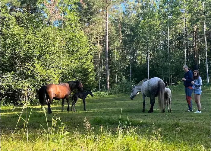 Idyllisk Ved Vannet Skien