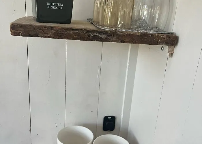 Idyllisk Ved Vannet *